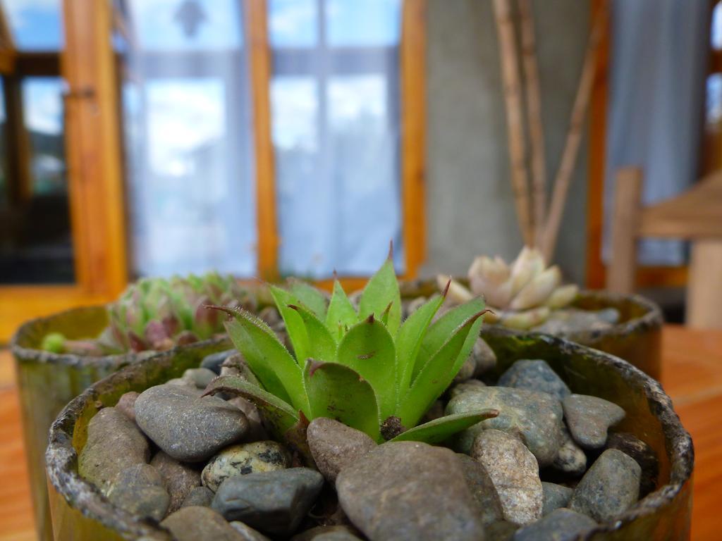Earthship Patagonia Eco Accommodations El Bolsón Buitenkant foto